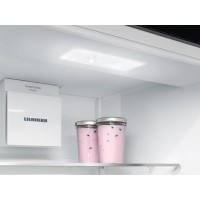 Встраиваемый однокамерный холодильник Liebherr IRBSd 5120-22 001 BioFresh