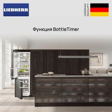 Встраиваемый холодильник Liebherr ICBNSd 5623
