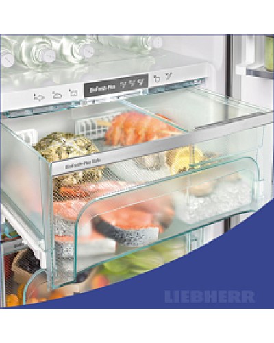 Встраиваемый холодильник Liebherr ICBNSd 5623