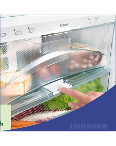 Встраиваемый холодильник Liebherr ICBNSd 5623